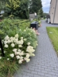 Bild - Exklusives Wohnen am Wasser