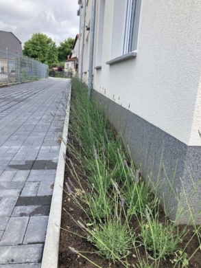 Aussenstellplatz mit Wallbox in ruhiger Lage von Königs Wusterhausen zu vermieten, 15711 Königs Wusterhausen, Wohngrundstück